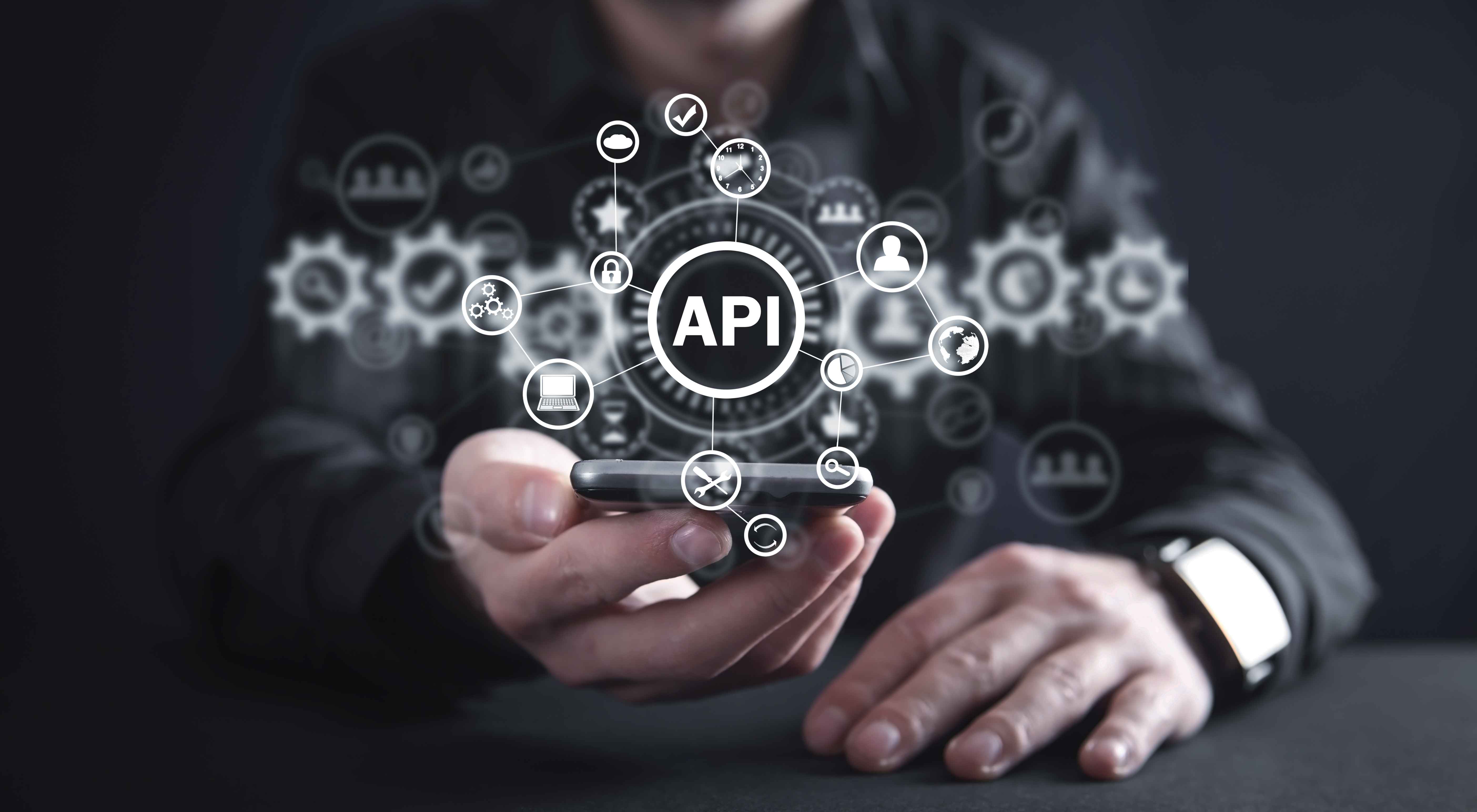 Tailored API Solutions